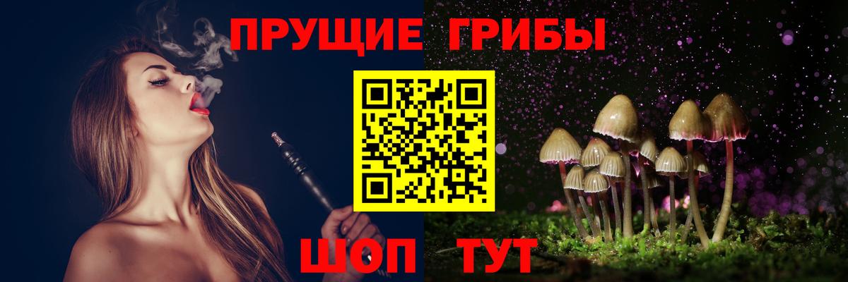 Черняховск  Псилоцибиновые грибы прущие грибы  Вход с VPN 
